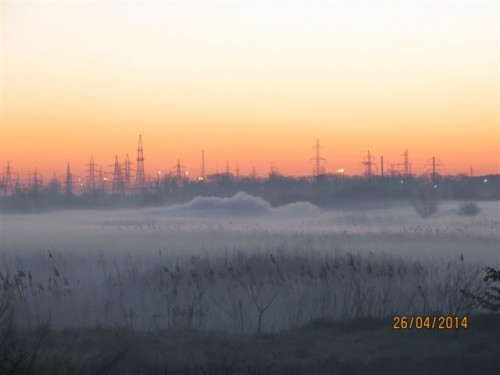 IMG_0845
