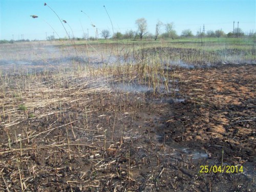Водо=рещення2011 023