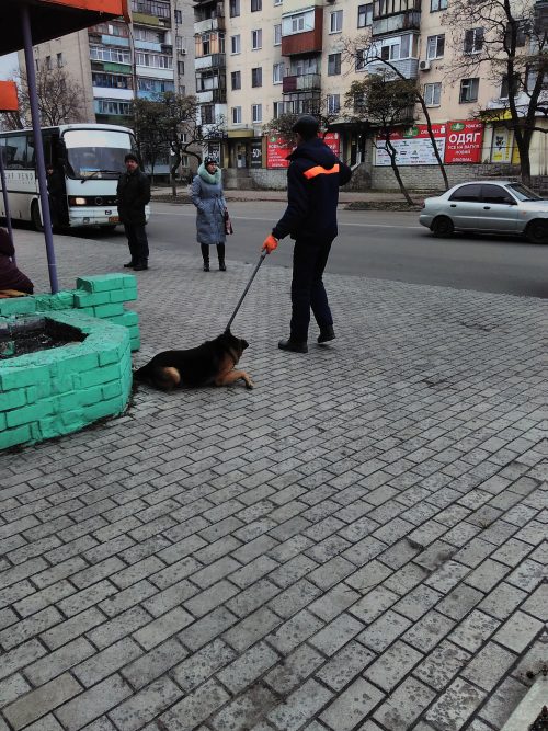 С3