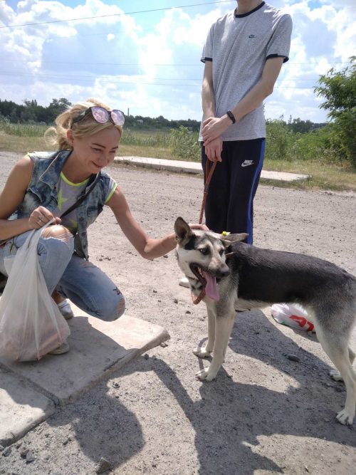 зображення_viber_2020-07-29_11-47-26