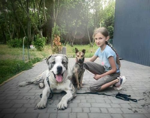 зображення_viber_2020-07-29_11-48-12