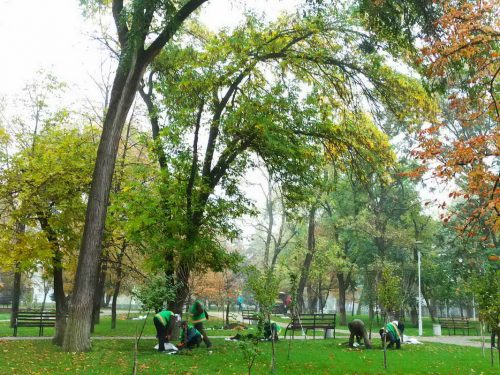 зображення_viber_2020-10-19_13-48-10
