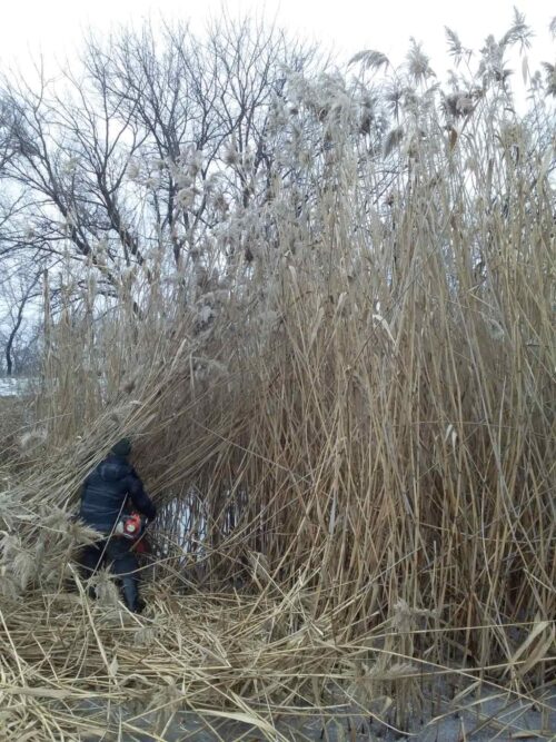 зображення_viber_2021-01-26_10-46-09