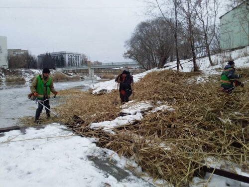 зображення_viber_2021-01-26_10-46-28