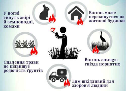 зображення_viber_2021-04-02_11-12-18