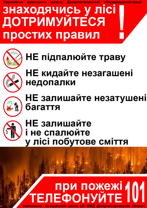 Л_сова пожежа_2