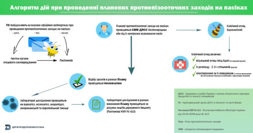10_бджілки копія