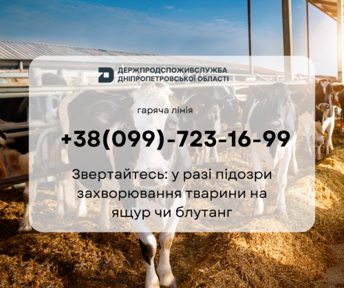 6802122edde5b032685338